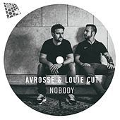 Thumbnail for the Avrosse - Nobody link, provided by host site