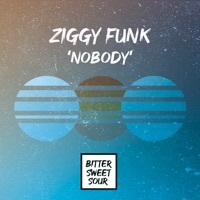 Thumbnail for the Ziggy Funk - Nobody link, provided by host site
