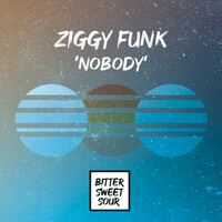 Thumbnail for the Ziggy Funk - Nobody link, provided by host site