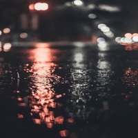 Thumbnail for the NAV - Nobody link, provided by host site