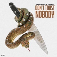 Thumbnail for the T-Rell - Nobody link, provided by host site