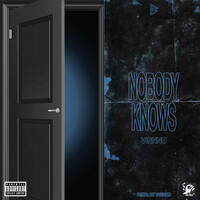 Thumbnail for the Vishnu - NOBODY KNOWS link, provided by host site
