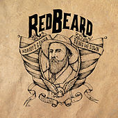 Thumbnail for the Redbeard - Nobody's Gonna Bring Me Down, Vol. 1 link, provided by host site