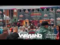 Thumbnail for the Wayland - Nobody's Perfect Live From Adelphia Music Hall Summer Concert Series with Bret Michaels link, provided by host site