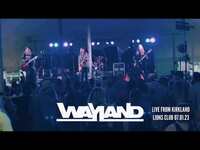 Thumbnail for the Wayland - Nobody's Perfect Live From Kirkland Lions Club link, provided by host site