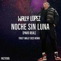 Thumbnail for the Wally Lopez - Noche Sin Luna (Trust Wally 2023 Remix) link, provided by host site