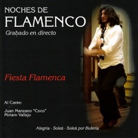 Thumbnail for the Juan Manzano - Noches de Flamenco - Fiesta Flamenca link, provided by host site