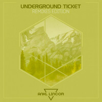 Thumbnail for the Fille V - Nocturnal Healing - Underground Ticket Remix link, provided by host site