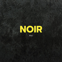 Thumbnail for the Kali - Noir link, provided by host site