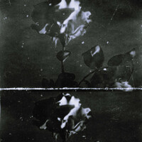 Thumbnail for the Joie - Noir link, provided by host site