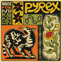 Thumbnail for the Pyrex - Noise For No Reason link, provided by host site