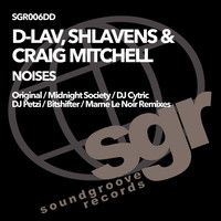 Thumbnail for the D-Lav - Noises - Bitshifter vs. Craig Mitchell Mix link, provided by host site