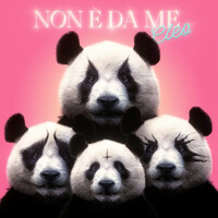 Thumbnail for the Cleo - Non è da me link, provided by host site