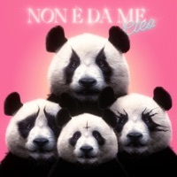 Thumbnail for the Cleo - Non è da me link, provided by host site