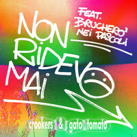 Thumbnail for the Crookers - Non ridevo mai link, provided by host site