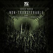 Thumbnail for the Chris David - Non-Transferable link, provided by host site