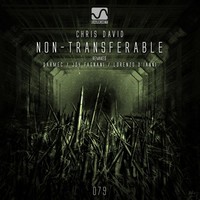 Thumbnail for the Chris David - Non-Transferable link, provided by host site