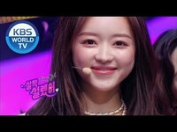 Thumbnail for the Oh My Girl - (오마이걸) - Nonstop(살짝 설렜어) [Music Bank /] link, provided by host site