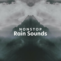 Thumbnail for the Rain - ! ! ! ! Nonstop Rain Sounds ! ! ! ! link, provided by host site