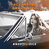 Thumbnail for the Alexandra Ungureanu - Nopti si zile link, provided by host site