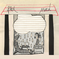 Thumbnail for the Flex - Nord link, provided by host site