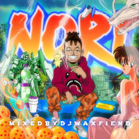 Thumbnail for the Ronnie Flex - NORI link, provided by host site