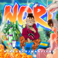 Thumbnail for the Ronnie Flex - NORI link, provided by host site