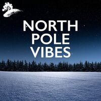 Thumbnail for the David Arkenstone - North Pole Vibes link, provided by host site