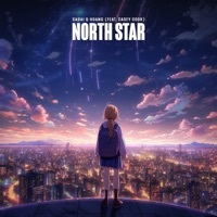 Thumbnail for the SABAI - North Star link, provided by host site