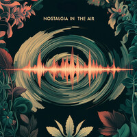 Thumbnail for the IA - Nostalgia In The Air link, provided by host site