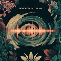 Thumbnail for the IA - Nostalgia in the Air link, provided by host site