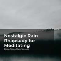 Thumbnail for the Deep Sleep Rain Sounds - Nostalgic Rain Rhapsody for Meditating link, provided by host site