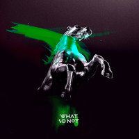 Thumbnail for the What So Not - Not All The Beautiful Things (Remixes) link, provided by host site