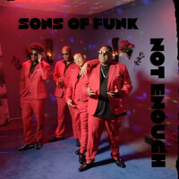 Thumbnail for the Sons Of Funk - Not Enough link, provided by host site