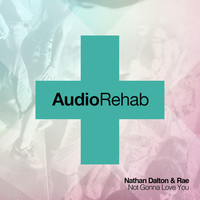Thumbnail for the Nathan Dalton - Not Gonna Love You link, provided by host site