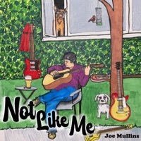 Thumbnail for the Joe Mullins - Not Like Me link, provided by host site