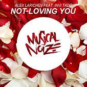 Thumbnail for the Alex Larichev - Not Loving You link, provided by host site