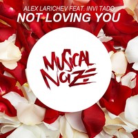 Thumbnail for the Alex Larichev - Not Loving You link, provided by host site