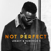 Thumbnail for the Legacy - Not Perfect link, provided by host site