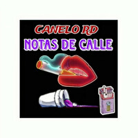 Thumbnail for the The Halo Effect - Notas de Calle link, provided by host site