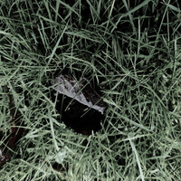 Thumbnail for the Nicholas Ross - Notes From a Ghost link, provided by host site