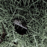 Thumbnail for the Nicholas Ross - Notes From a Ghost link, provided by host site