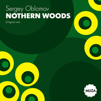 Thumbnail for the Sergey Oblomov - Nothern woods link, provided by host site