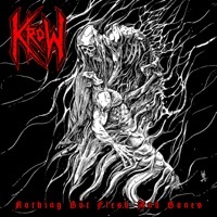 Thumbnail for the Krow - Nothing but Flesh and Bones link, provided by host site