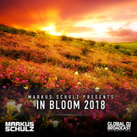 Thumbnail for the Paul van Dyk - Nothing But You (GDJB In Bloom 2018) - Super8 & Tab Remix link, provided by host site