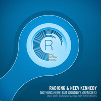 Thumbnail for the Radion 6 - Nothing Here But Goodbye (The Remixes) link, provided by host site