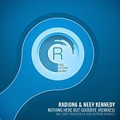 Thumbnail for the Radion 6 - Nothing Here But Goodbye (The Remixes) link, provided by host site