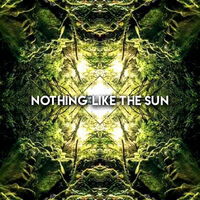 Thumbnail for the Adam Deitch - Nothing Like The Sun link, provided by host site
