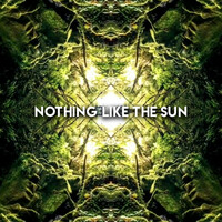 Thumbnail for the Adam Deitch - Nothing Like The Sun link, provided by host site