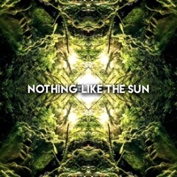 Thumbnail for the Adam Deitch - Nothing Like the Sun link, provided by host site